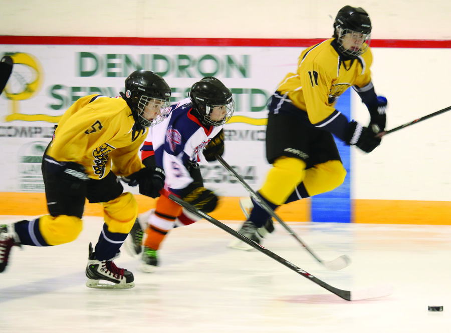 Rebels #5 Jaxon Pahl chases the puck with two Duchess Storm players keeping pace in the second period of their Saturday game at the Curtis Kerner Memorial Pee Wee hockey tournament.