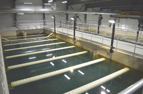 PHOTO BY TIM KALINOWSKI- The photo shows the ultra-modern clarifier pool that takes suspended solids out of the water before sending them to the Pall membranes.