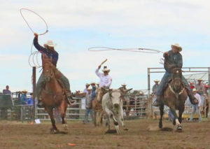 Photo by Jamie Rieger- Josh Harden (from Big Valley)  and Jeremy Harden (from Castor), scored a No-time in this attempt in the team roping event. 