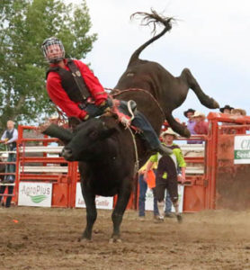 Photo by Jamie Rieger- Despite having a great ride, Quade Hughson couldn not quite make it to the bell in Steer riding on Saturday afternoon. 
