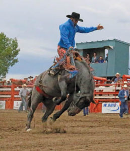 Photo by Jamie Rieger- Tim Costello, from Byemoor, scored a 73-point ride on Blueberry in Foremost rodeo action on Saturday. 