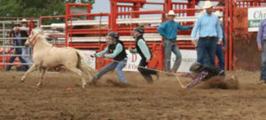Photo by Jamie Rieger-Young cowboys and cowgirls tried their luck in the wild pony races. 