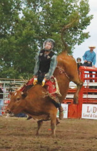 Photo by Jamie Rieger- Local steer rider, William Barrows earned some cash over the weekend, finishing in a three-way tie in the steer riding event. 