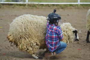 Photo by Tim Kalinowski- Samuel McLean was the star of the mutton-busting competition.