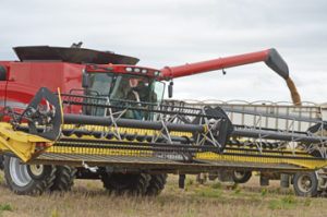 Photo by Tim Kalinowski- Letting 'er go. The all-volunteer Canadian Foodgrains Bank project near Medicine Hat, managed to get its harvest in early last week despite a spot of cool, rainy weather. 
