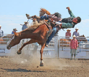 Photo by Jamie Rieger- Things go sideways for Carson Stevenson in the bareback event. 