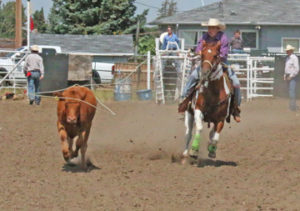 Photo by Jamie Rieger- Milk River's Mike Miller caught his steer in 6.9 seconds in the breakaway roping event.